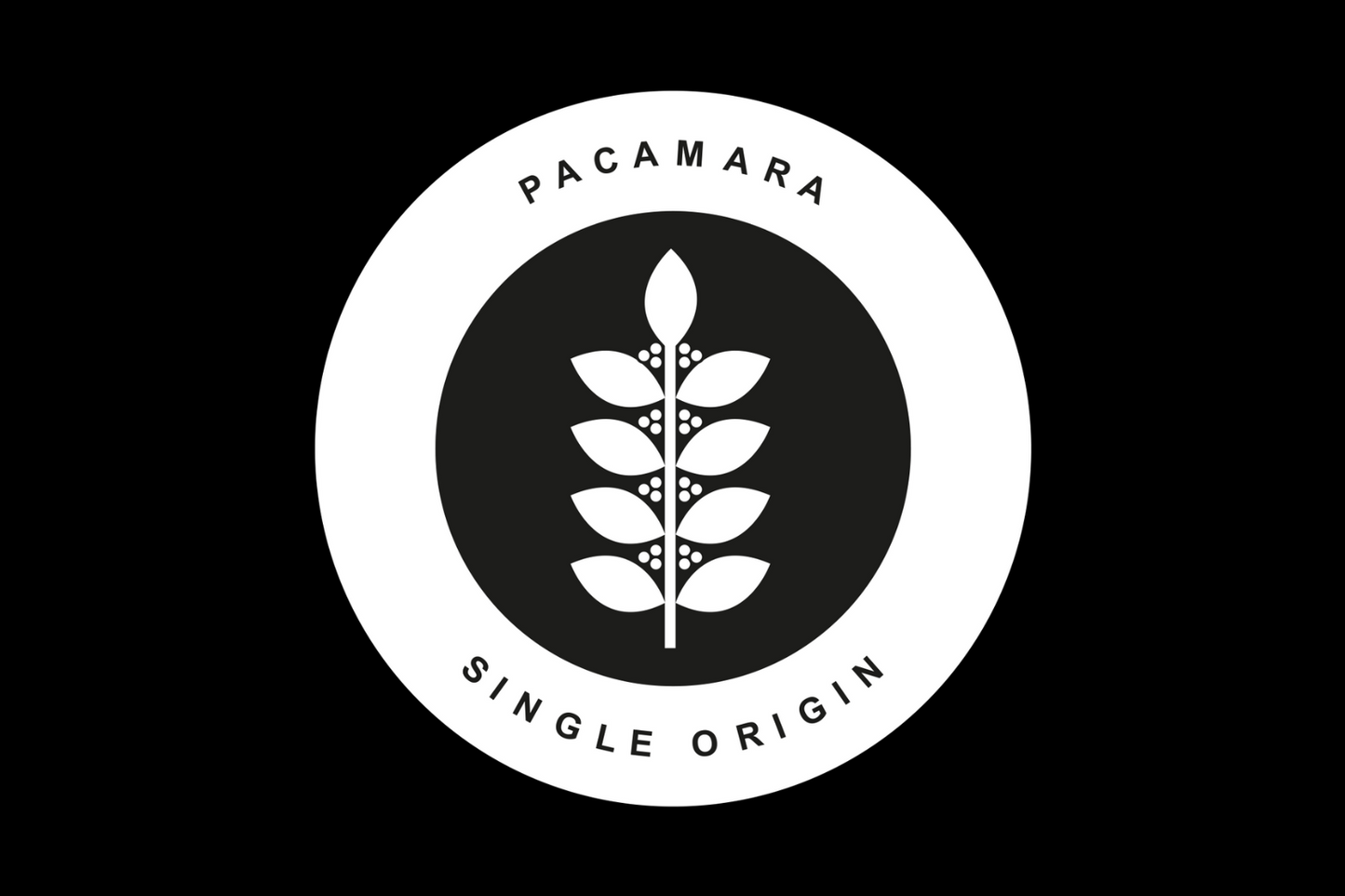 Pacamara